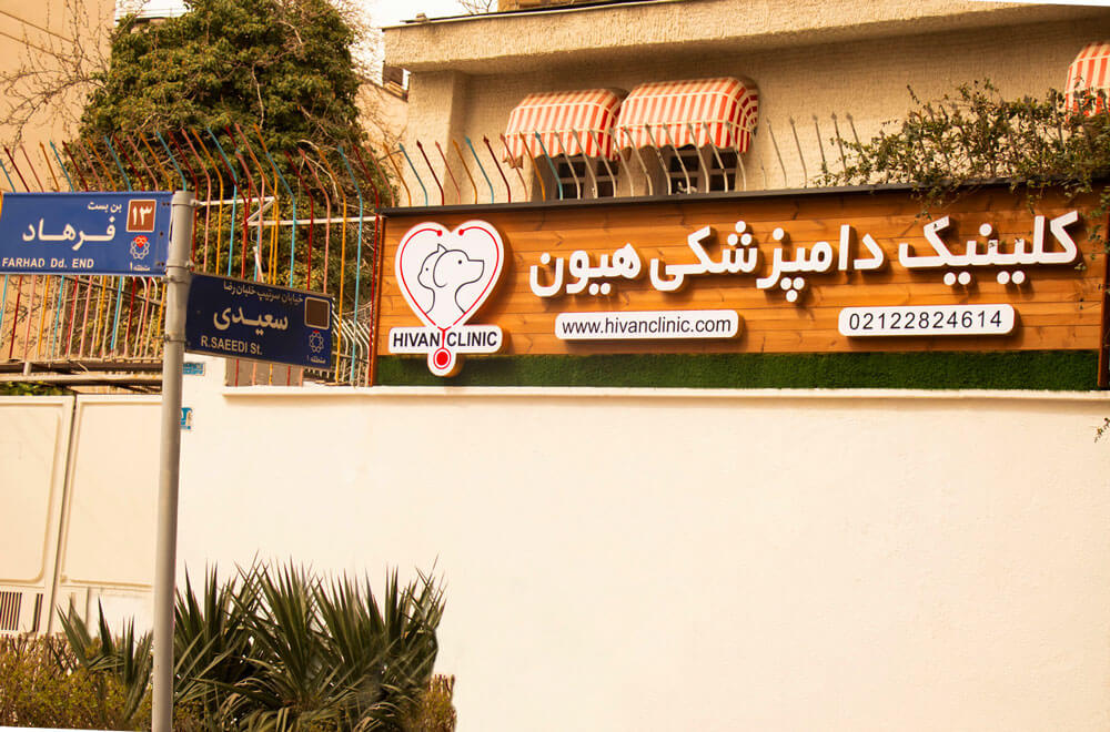 استخدام فروشنده پت شاپ در کلینیک دامپزشکی هیون
