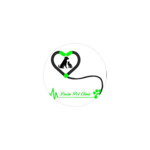 استخدام گرومر حیوانات در کلینیک دامپزشکی لاوین