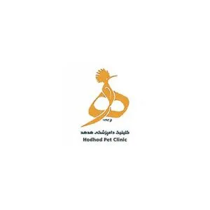 استخدام گرومر در درمانگاه دامپزشکی هدهد